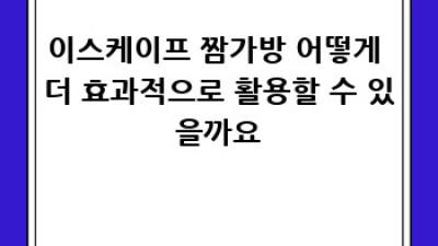 이스케이프 짬가방: 완벽 활용 가이드