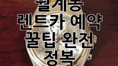월계동 렌트카 예약, 꿀팁 완전 정복!