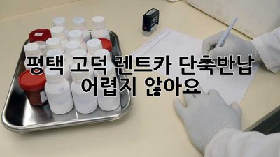 평택 고덕 렌트카 단축반납, 어렵지 않아요!