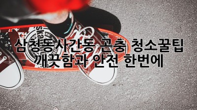 삼청동&사간동🏡 곤충🚫 청소✨꿀팁: 깨끗함과 안전, 한번에!